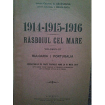 19141915 1916. Rasboiul cel Mare, vol. III