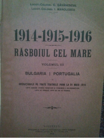 19141915 1916. Rasboiul cel Mare, vol. III