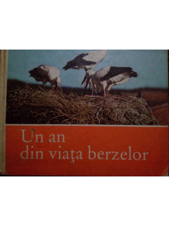 Un an din viata berzelor