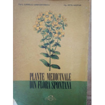 Plante medicinale din flora spontana