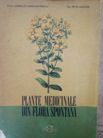Plante medicinale din flora spontana