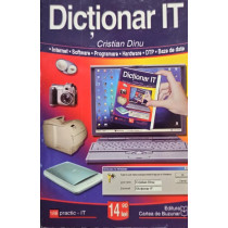 Dictionar IT