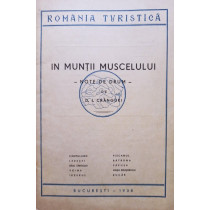 In muntii Muscelului