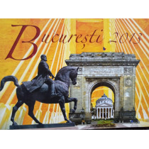 Dan Berindei (ed.) - Bucuresti 2013