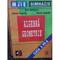 Algebra geometrie clasa a VIIa