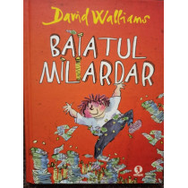 Baiatul miliardar