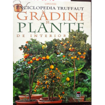 Gradini si plante de interior