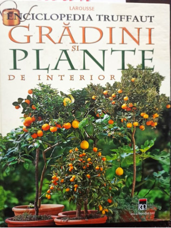 Gradini si plante de interior