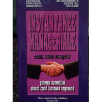 Instantanee manageriale