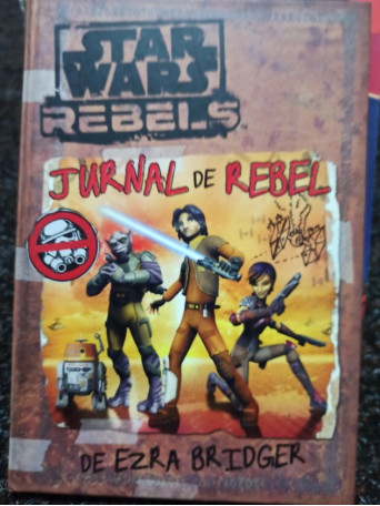 Jurnal de rebel