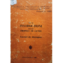 4 Instructiuni pentru trupele de geniu - Lucrari de distrugeri