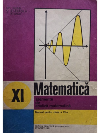 Matematica - Elemente de analiza matematica