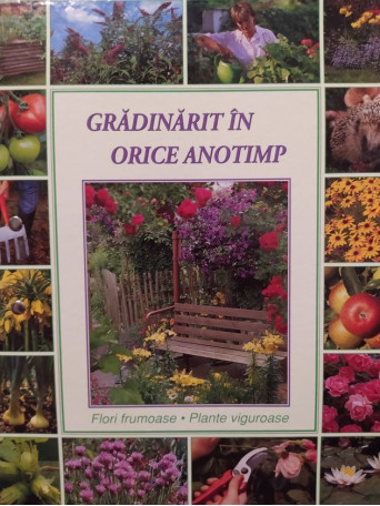 Flori frumoase. Plante viguroase