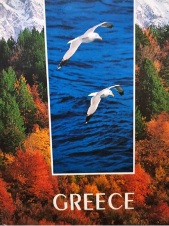 Tourism and environment