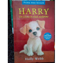 Harry un catelus fara adapost