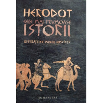 Cele mai frumoase istorii