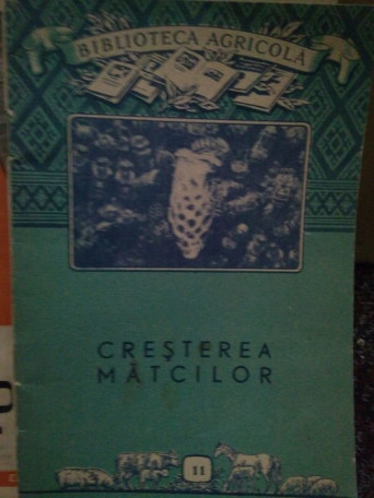 Cresterea maticlor