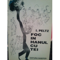 Foc in Hanul cu Tei