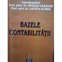 Bazele contabilitatii