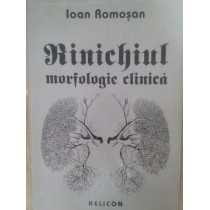 Rinichiul - Morfologie clinica