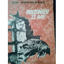 Prizonier 12 ani