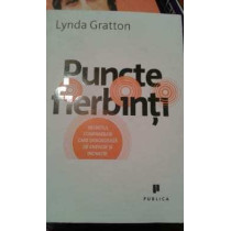 Puncte fierbinti