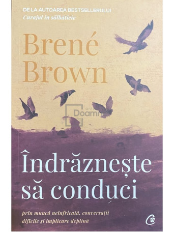 Brene Brown - Indrazneste sa conduci - 2019 - Brosata
