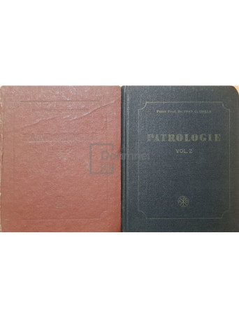 Ioan C. Coman - Patrologie, vol. 2 + 3 - 1984 / 1985 - Brosata