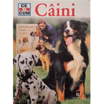 Cainii