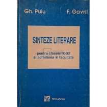 Sinteze literare pentru clasele IX-XII si admiterea in facultate