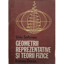 Geometrii reprezentative si teorii fizice