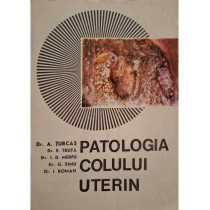 Patologia colului uterin