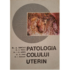 Patologia colului uterin