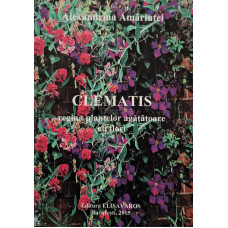 Clematis, regina plantelor agatatoare cu flori (semnata)
