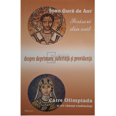 Scrisori din exil despre deprimare, suferinta si providenta