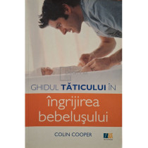 Ghidul taticului in ingrijirea bebelusului