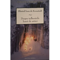 Despre tulburarile lumii de astazi
