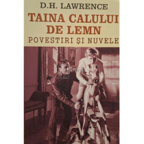 Taina calului de lemn - Povestiri si nuvele