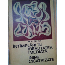 Intamplari in irealitatea imediata inimi cicatrizate