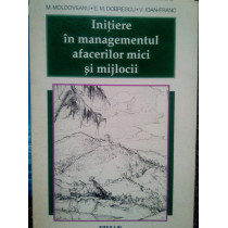 Initiere in managementul afacerilor mici si mijlocii