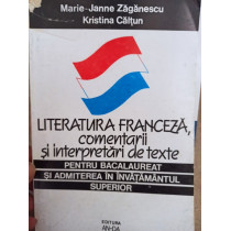 Literatura franceza, comentarii si interpretari de texte