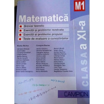 Matematica M1 Clasa a XIa. Breviar teoretic