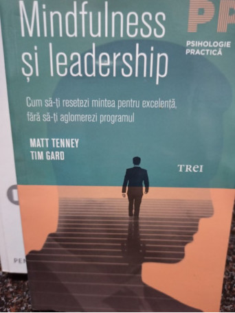 Mindfulness si leadership