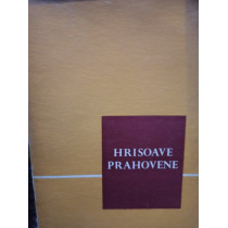 A doua sesiune de comunicari