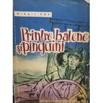 Printre balene si pinguini