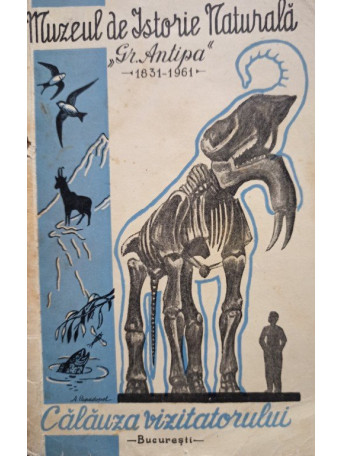 Muzeul de Istorie Naturala Gr. Antipa; 1831-1961 - Calauza vizitatorului - 1961 - Brosata