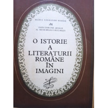 O istorie a literaturii romane in imagini