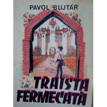 Traista fermecata