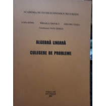 Algebra liniara - Culegere de probleme