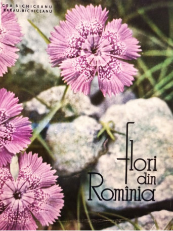 Rodica Rarau Bichiceanu - Flori din Romania - 1964 - Cartonata